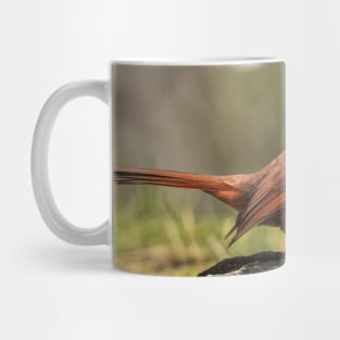 Male Northern Cardinal Mug